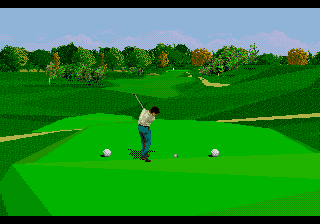 PGA Tour 96 (USA, Europe) In game screenshot